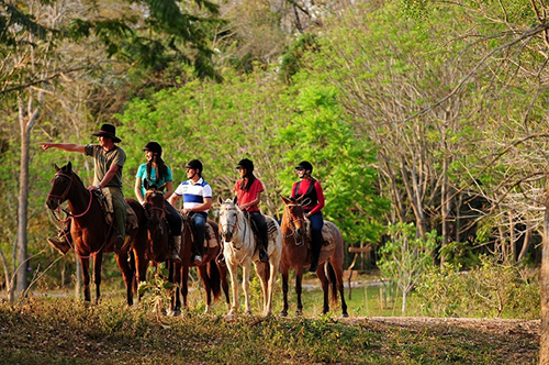 Operatore Turismo Equestre